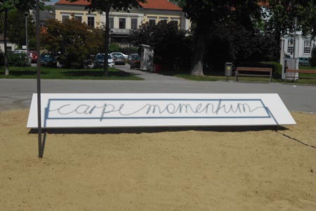 carpe momentum